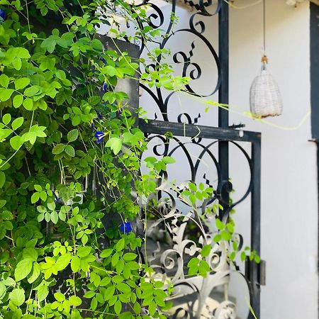 Casa Elsa Pipa Apartman Praia de Pipa Kültér fotó