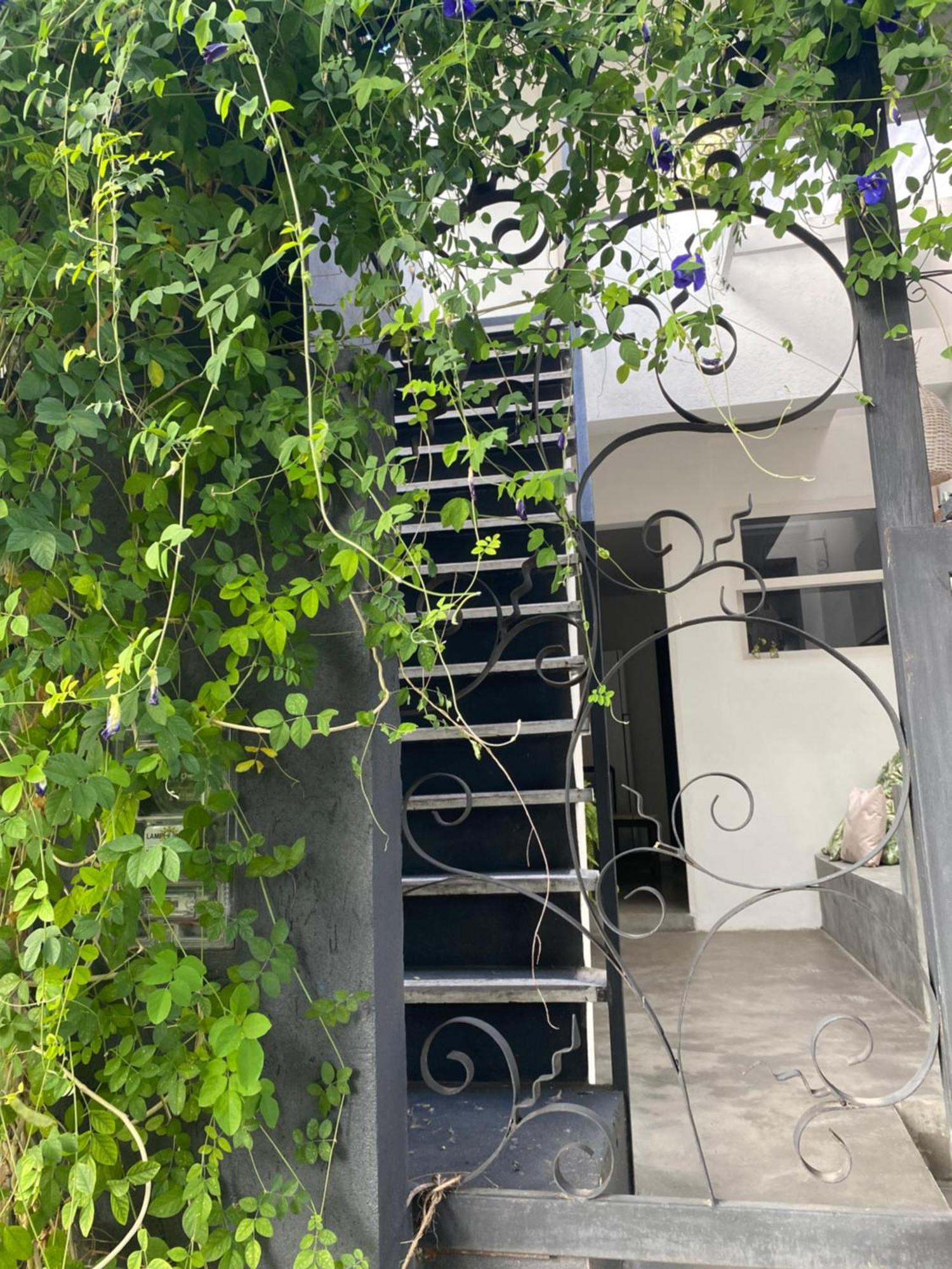 Casa Elsa Pipa Apartman Praia de Pipa Kültér fotó